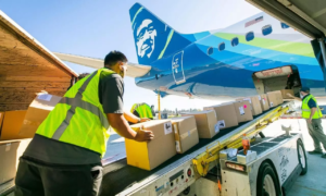 Vĩnh An - Xuất Nhập Khẩu (1)