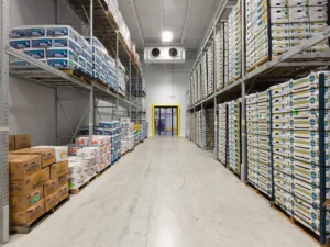 Vĩnh An - Dịch vụ kho bãi 4